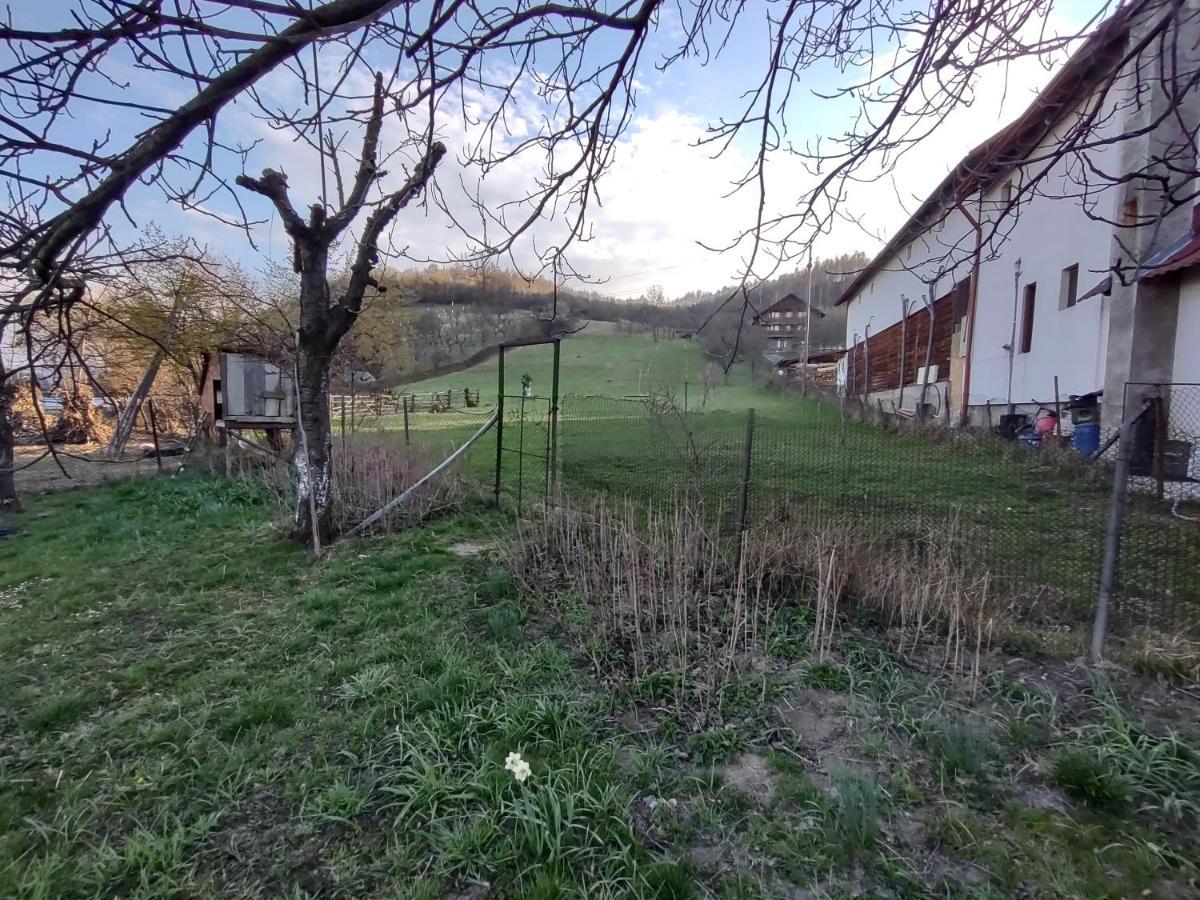Pensiunea Ghita Vasile Vadu Izei Exterior foto