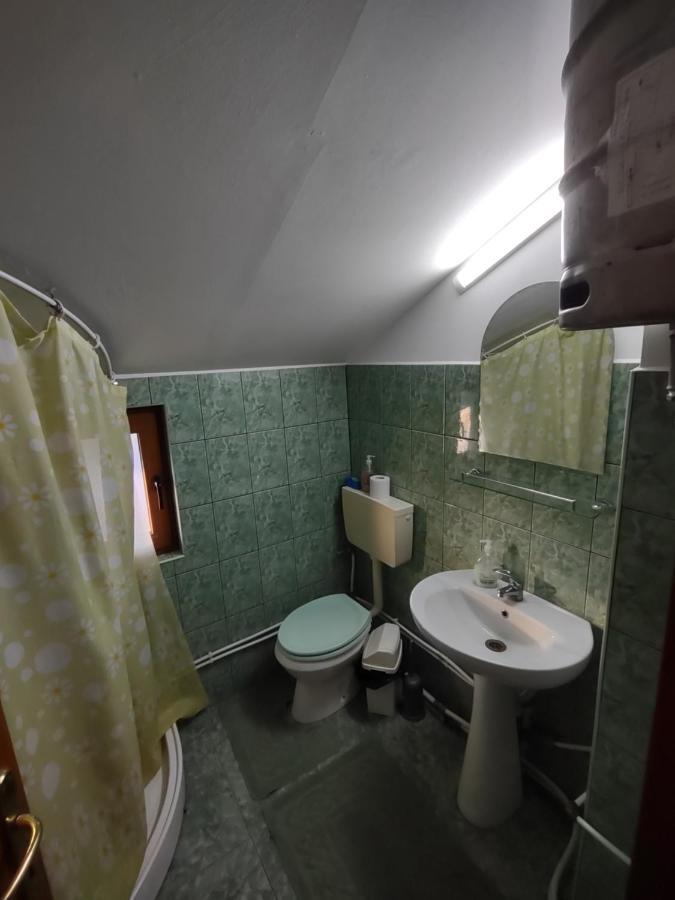 Pensiunea Ghita Vasile Vadu Izei Exterior foto