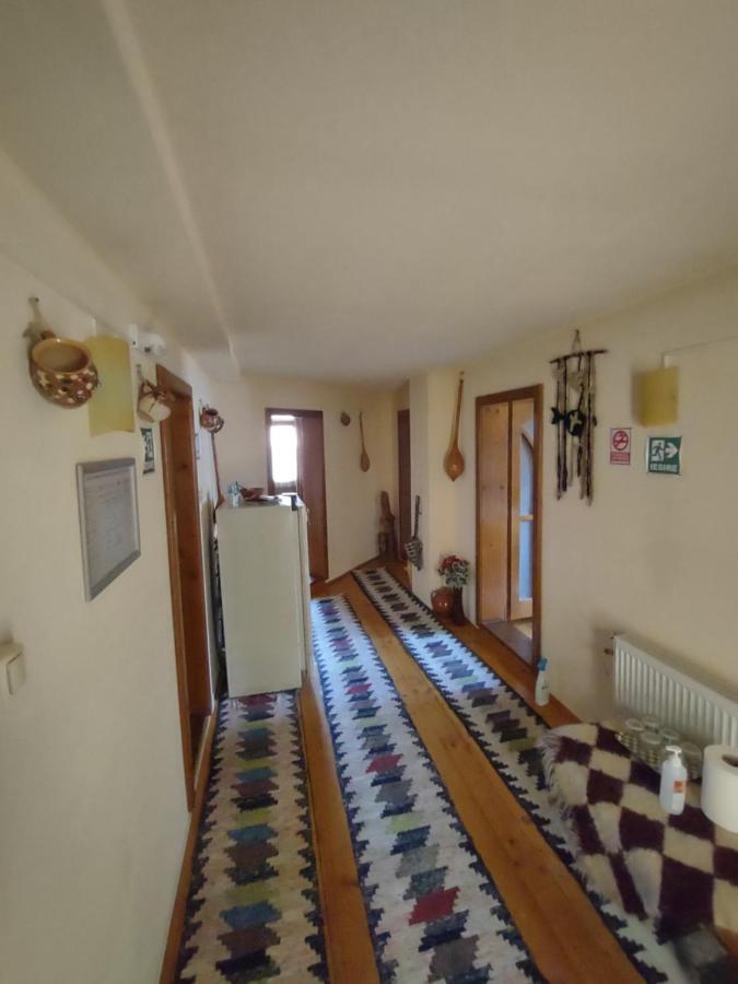 Pensiunea Ghita Vasile Vadu Izei Exterior foto