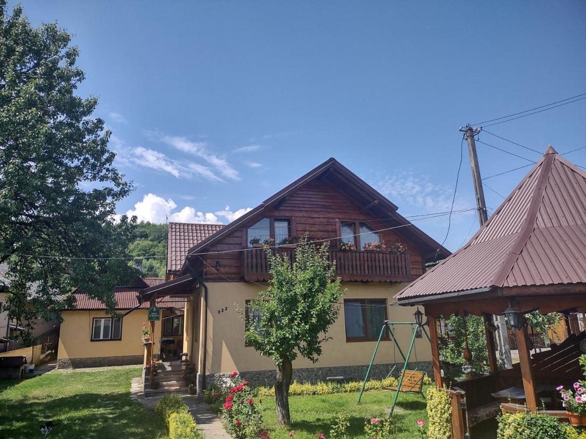 Pensiunea Ghita Vasile Vadu Izei Exterior foto