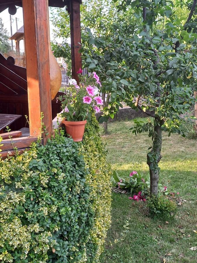 Pensiunea Ghita Vasile Vadu Izei Exterior foto