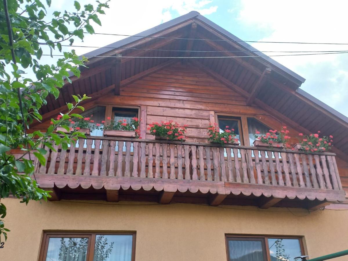 Pensiunea Ghita Vasile Vadu Izei Exterior foto