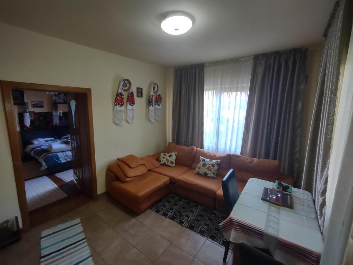 Pensiunea Ghita Vasile Vadu Izei Exterior foto